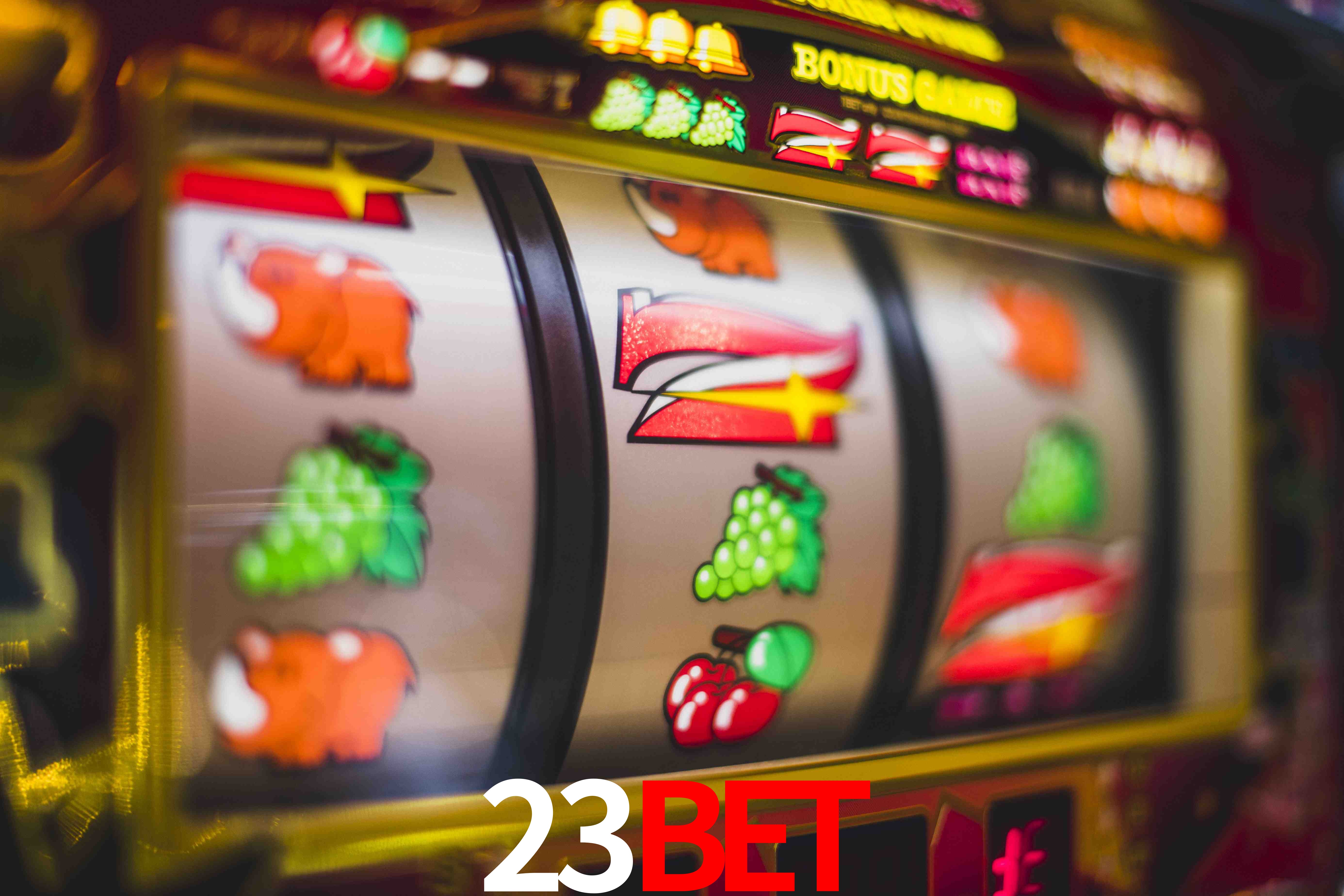 Chances Ganhar 23Bet
